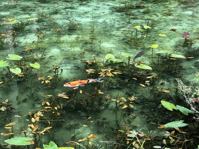 座敷わらしを求めて岐阜県へ