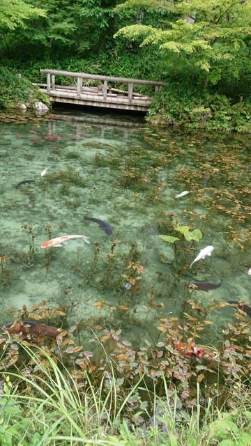 座敷わらしを求めて岐阜県へ