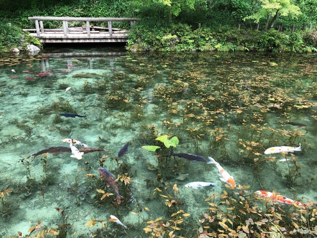 座敷わらしを求めて岐阜県へ