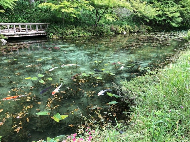 座敷わらしを求めて岐阜県へ