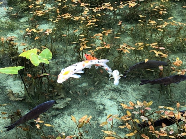 座敷わらしを求めて岐阜県へ