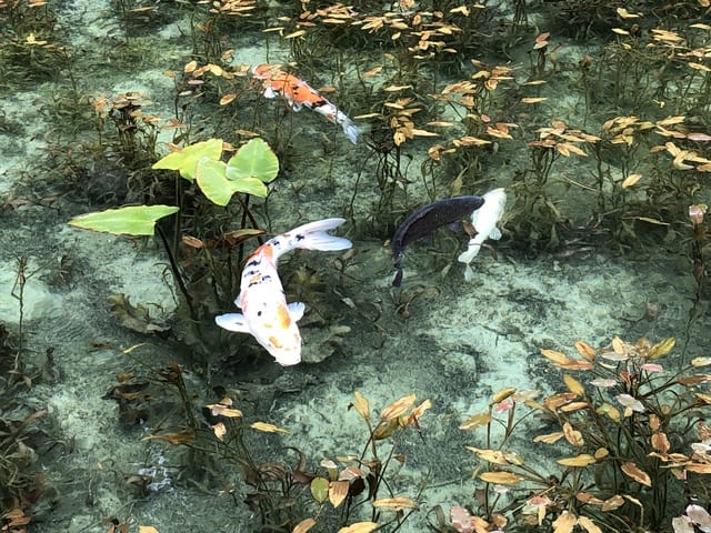 座敷わらしを求めて岐阜県へ