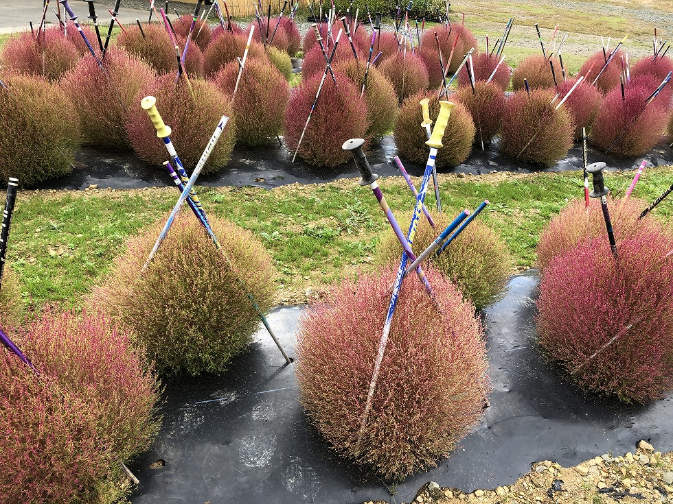 箱館山　パフェ専門店ＬＡＭＰ