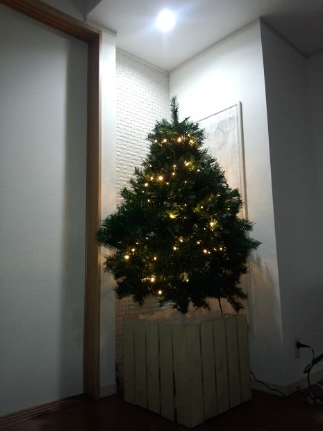 クリスマスツリー　自由設計　なむらこうむてん　奈村工務店　　エコカラット