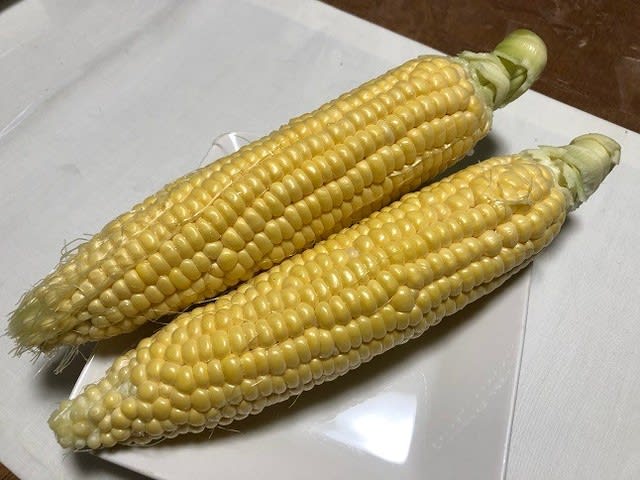 トウモロコシ