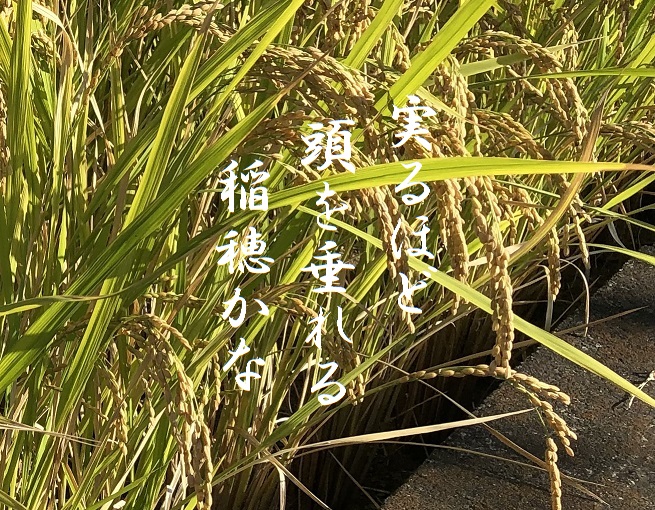 奈村工務店　ブログ