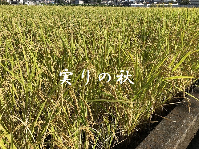 奈村工務店　ブログ