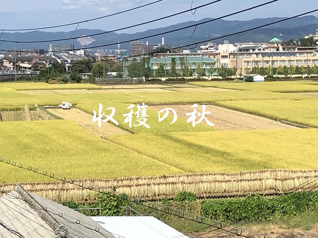 奈村工務店　ブログ